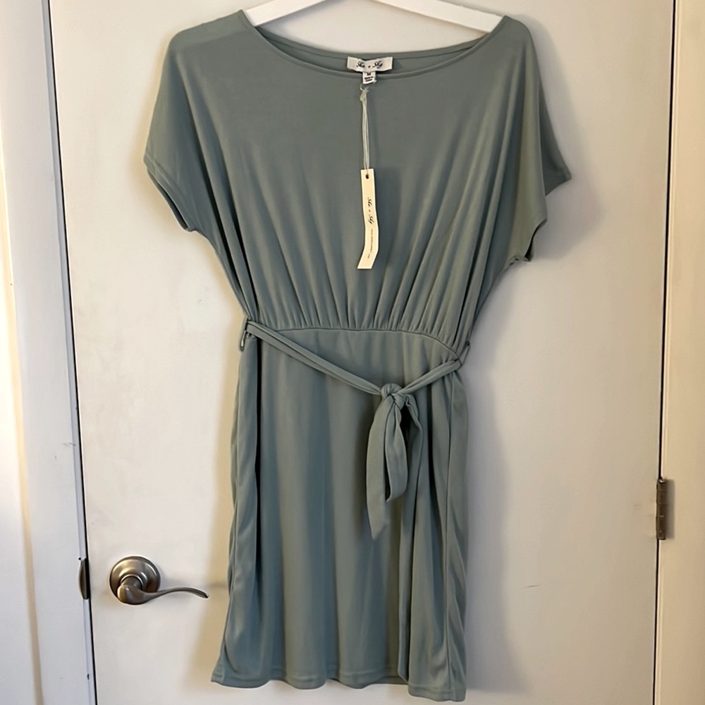Pink Lily Mint Mini Dress